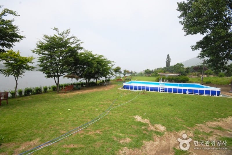 Yangpyeong Wild Flower Arboretum  (5/20)