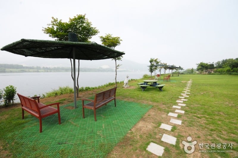 Yangpyeong Wild Flower Arboretum  (7/20)
