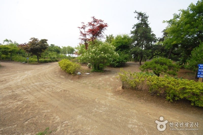 Yangpyeong Wild Flower Arboretum  (8/20)
