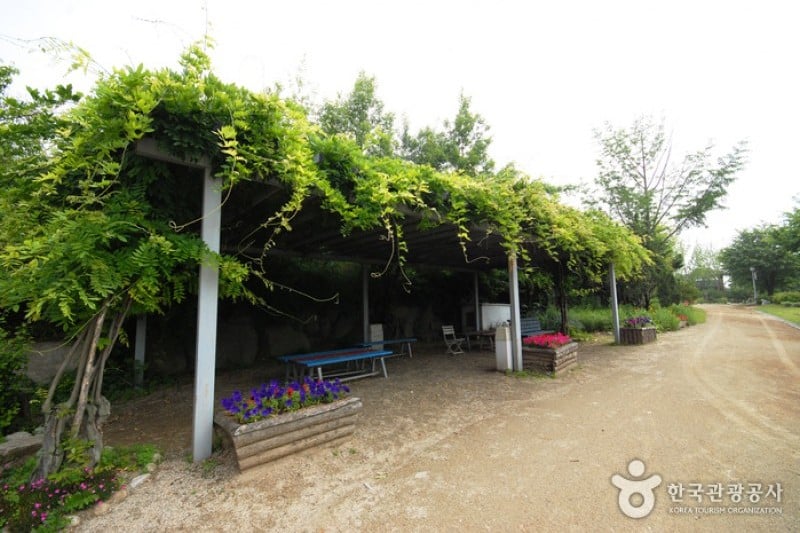 Yangpyeong Wild Flower Arboretum  (9/20)