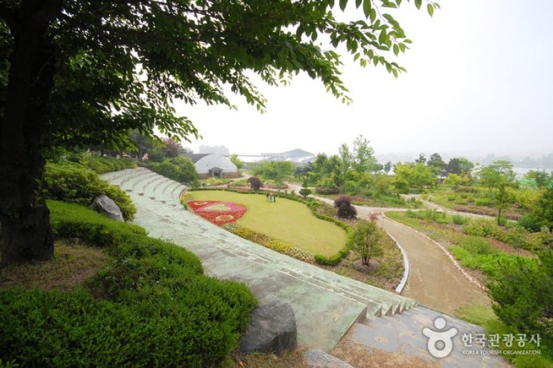 Yangpyeong Wild Flower Arboretum  (12/20)
