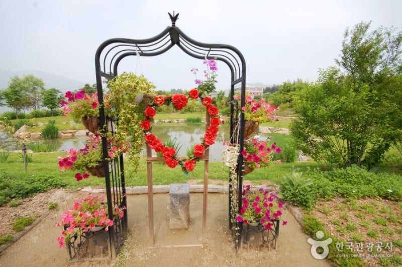 Yangpyeong Wild Flower Arboretum  (13/20)
