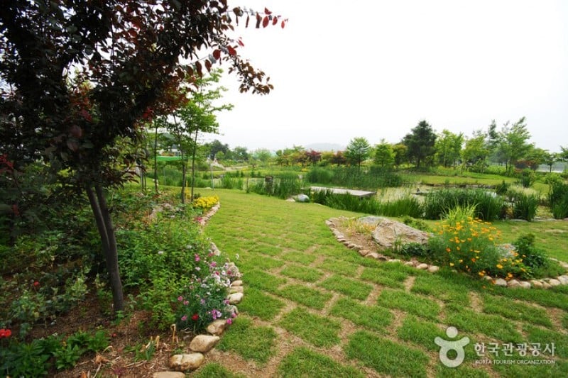 Yangpyeong Wild Flower Arboretum  (15/20)