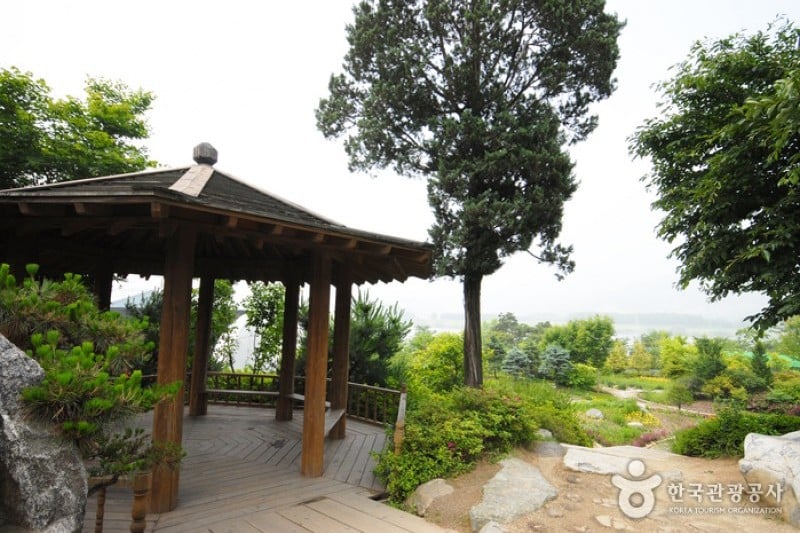 Yangpyeong Wild Flower Arboretum  (17/20)