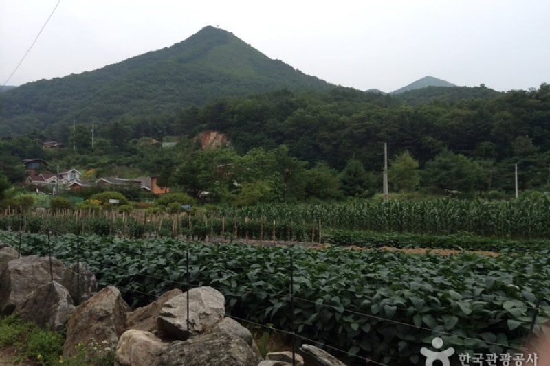 Baegunbong Peak  (3/4)