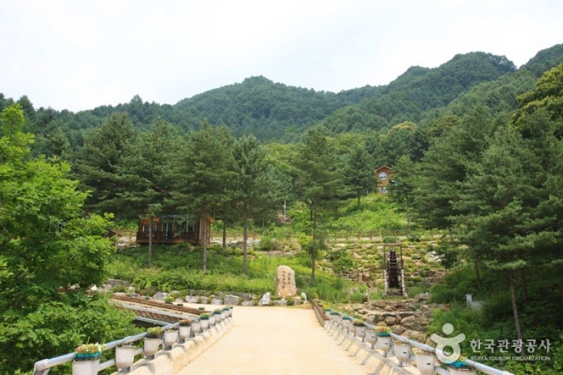 Kalbongsan Natural Recreation Forest  (2/13)