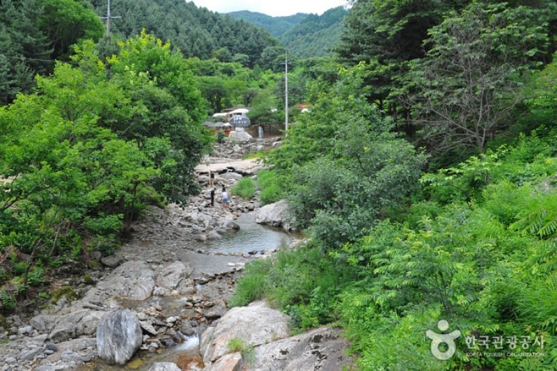 Kalbongsan Natural Recreation Forest  (8/13)
