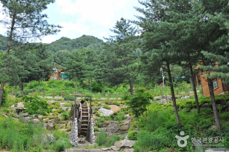 Kalbongsan Natural Recreation Forest  (12/13)