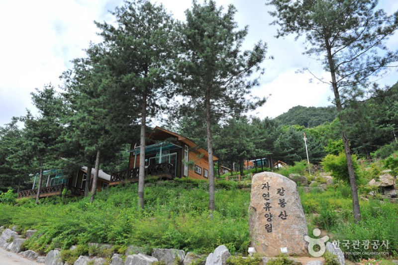 Kalbongsan Natural Recreation Forest  (13/13)