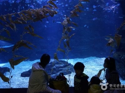 Hanwha Aqua Planet Ilsan