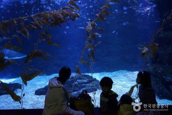 Hanwha Aqua Planet Ilsan
