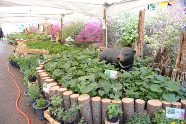 Yongmunsan Wild Herbs and Vegetables Festival