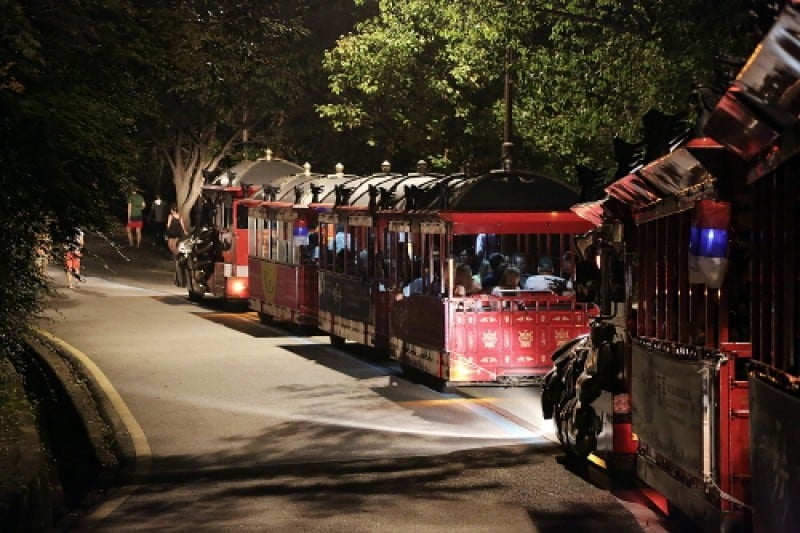 Moonlight Tour at Suwon Hwaseong  (8/8)