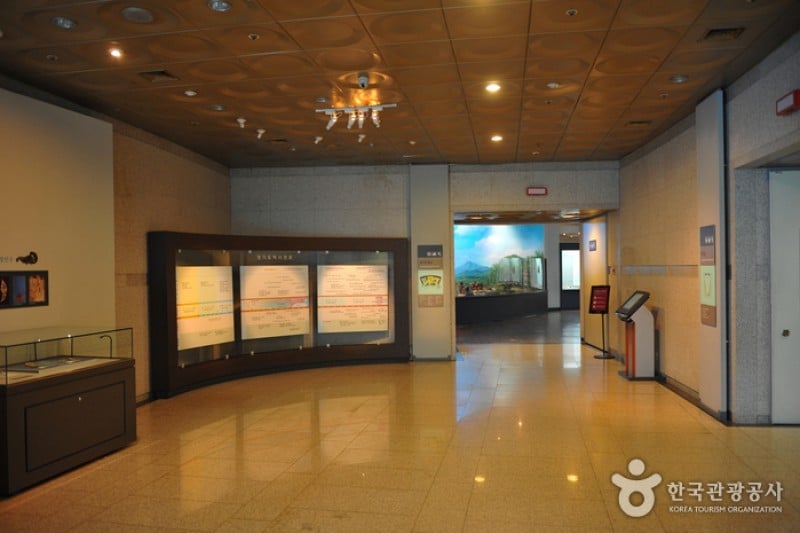 Gyeonggi Provincial Museum  (6/24)