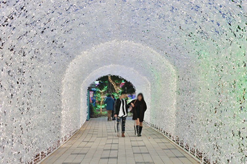 Light Festival at The Ansan Starlight Village Photo Land  (4/5)