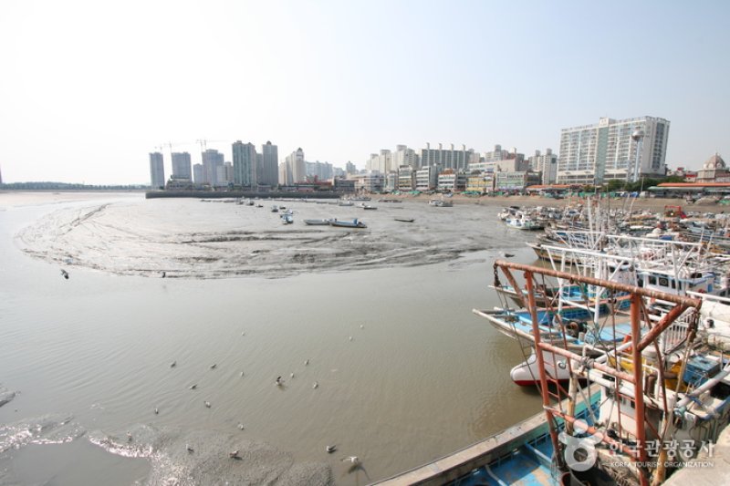 Wolgot Harbor (월곶포구) (2/13)