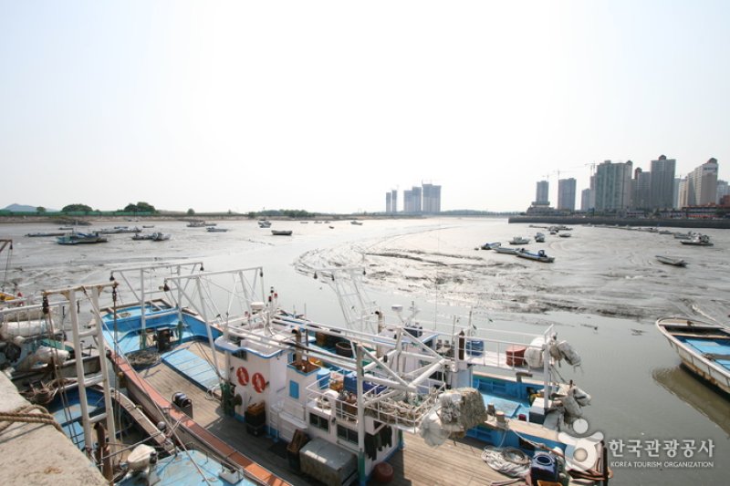Wolgot Harbor (월곶포구) (3/13)