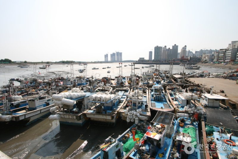 Wolgot Harbor (월곶포구) (4/13)
