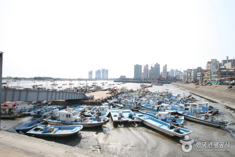Wolgot Harbor (월곶포구) (7/13)