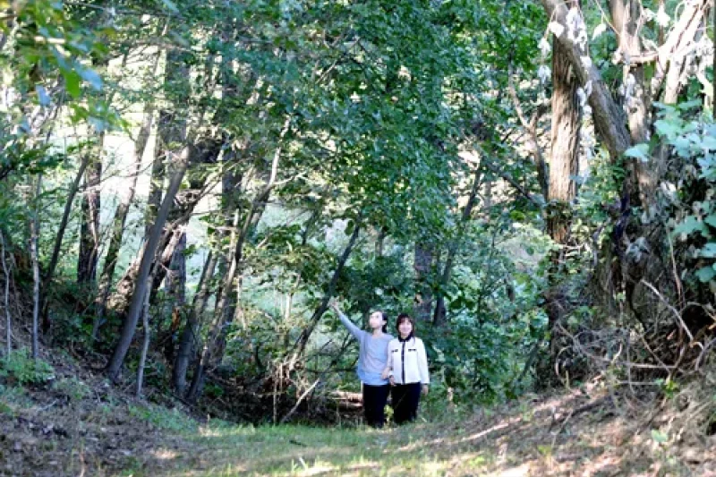 Soulone Botanical Garden  (20/29)