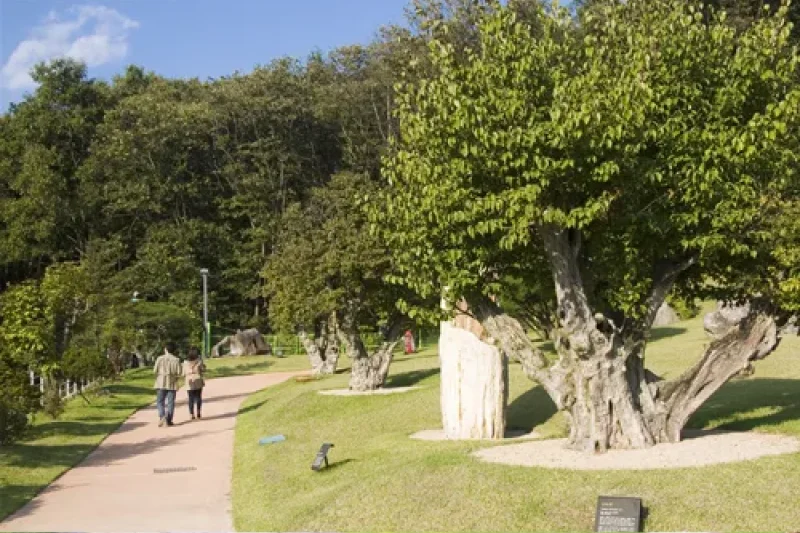 Soulone Botanical Garden  (21/29)
