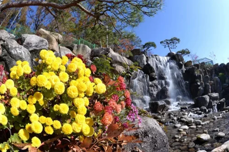 Soulone Botanical Garden  (22/29)