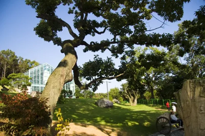 Soulone Botanical Garden  (24/29)