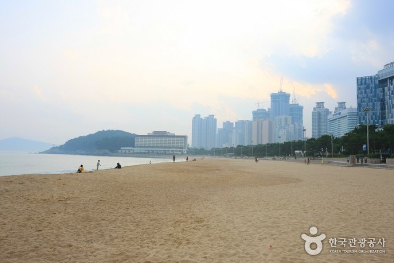 Haeundae Beach  (6/30)