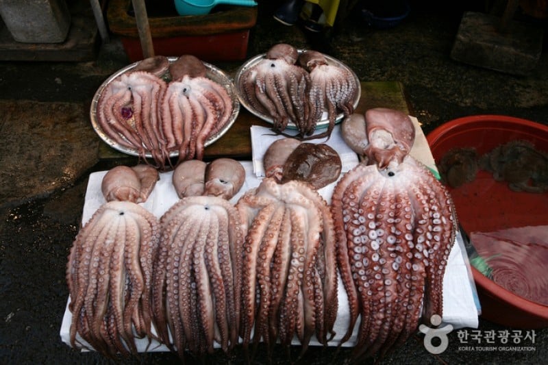 Jagalchi Market  (3/25)