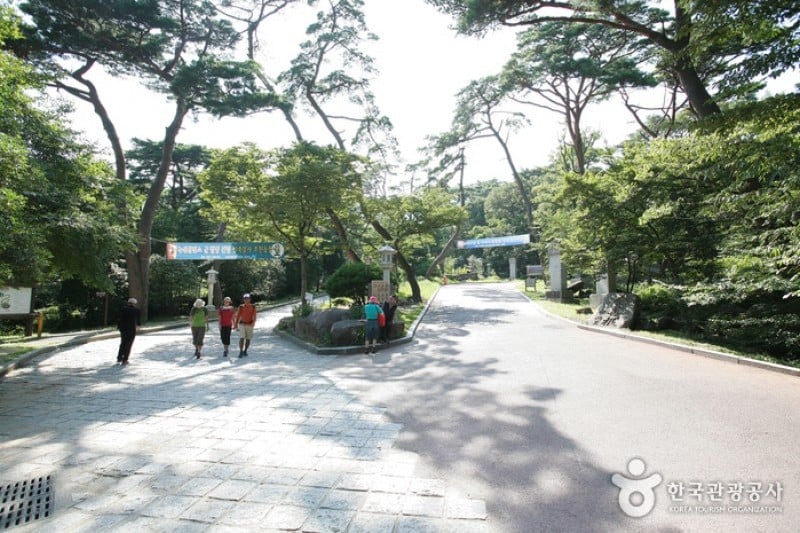 Beomeosa Temple  (6/15)