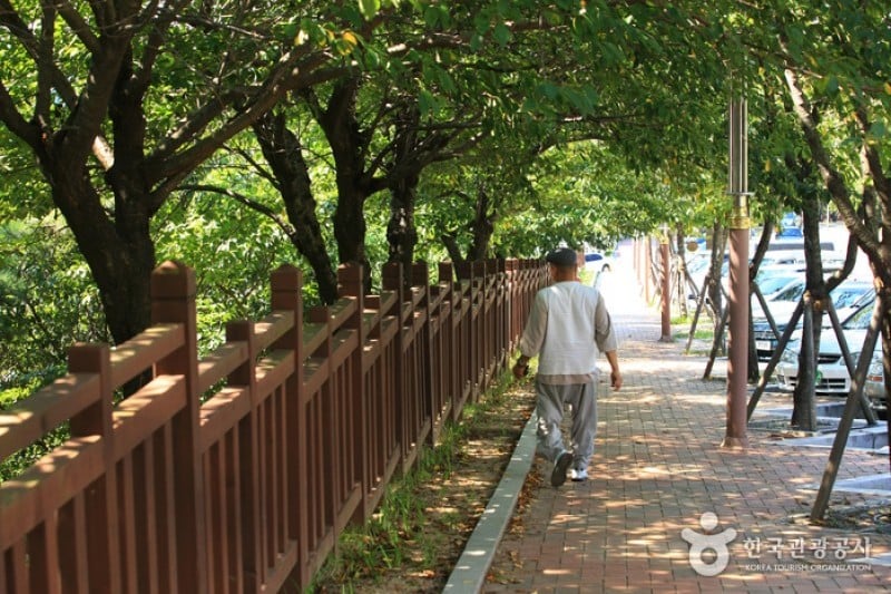 Dalmaji-gil Road  (2/15)