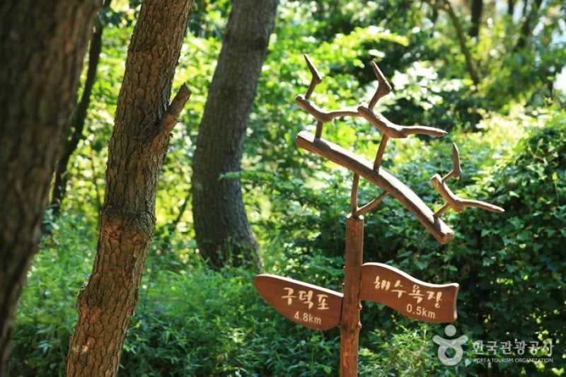 Dalmaji-gil Road  (4/15)