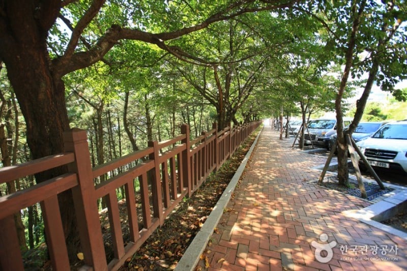 Dalmaji-gil Road  (10/15)