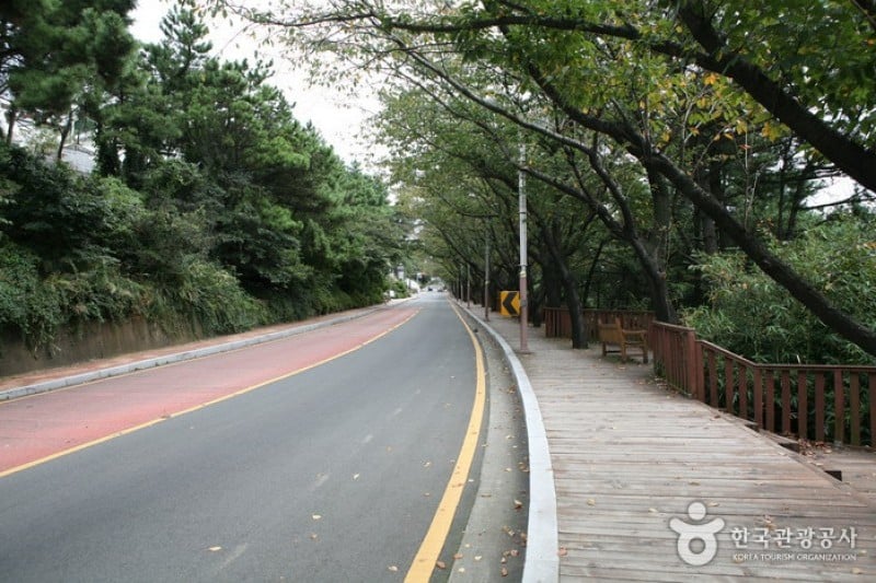 Dalmaji-gil Road  (13/15)