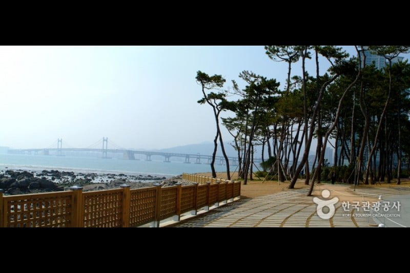 Nurimaru APEC House  (1/6)