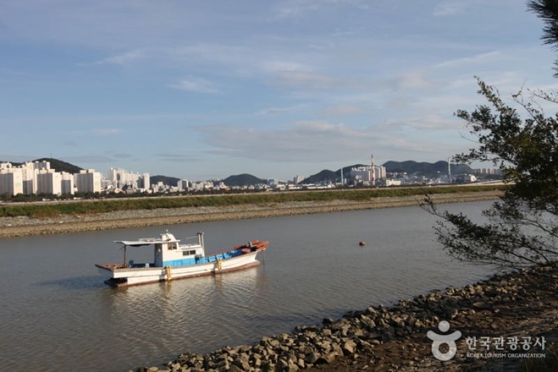 Nakdonggang Bird Sanctuary  (3/8)