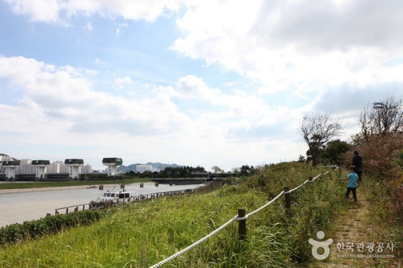 Nakdonggang Bird Sanctuary  (8/8)