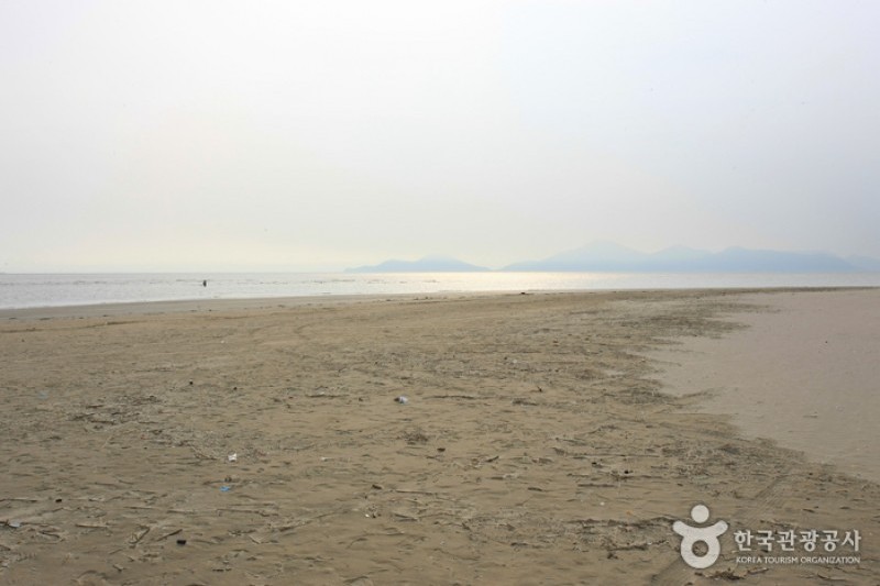 Dadaepo Beach  (1/27)