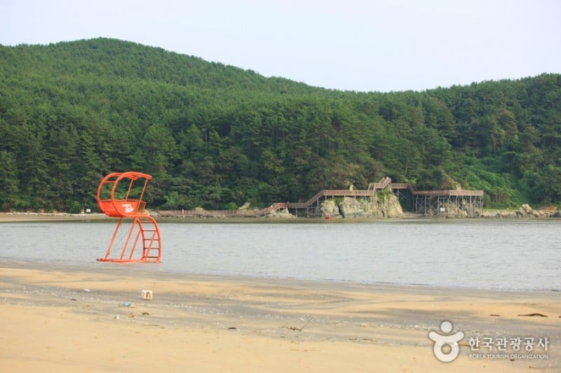 Dadaepo Beach  (2/27)
