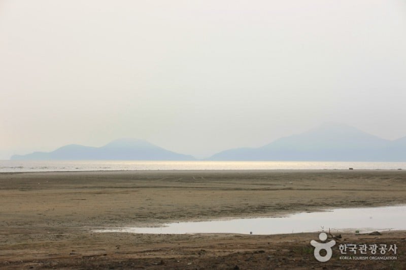 Dadaepo Beach  (7/27)