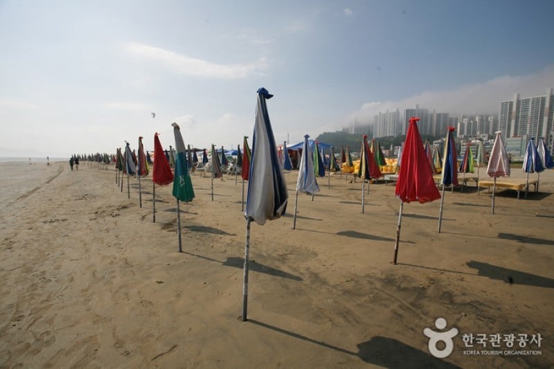 Dadaepo Beach  (8/27)