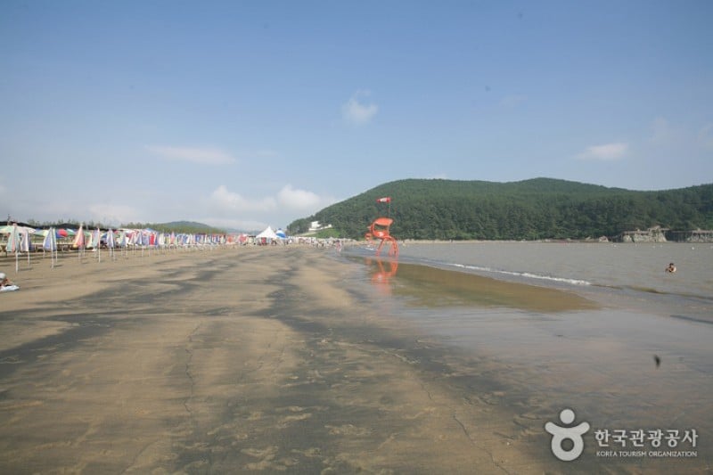 Dadaepo Beach  (16/27)