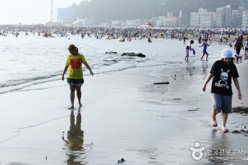 Dadaepo Beach  (25/27)
