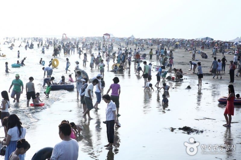 Dadaepo Beach  (27/27)