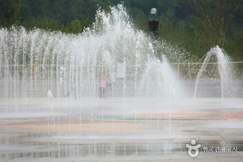 Dadaepo Sunset Fountain of Dream  (8/13)