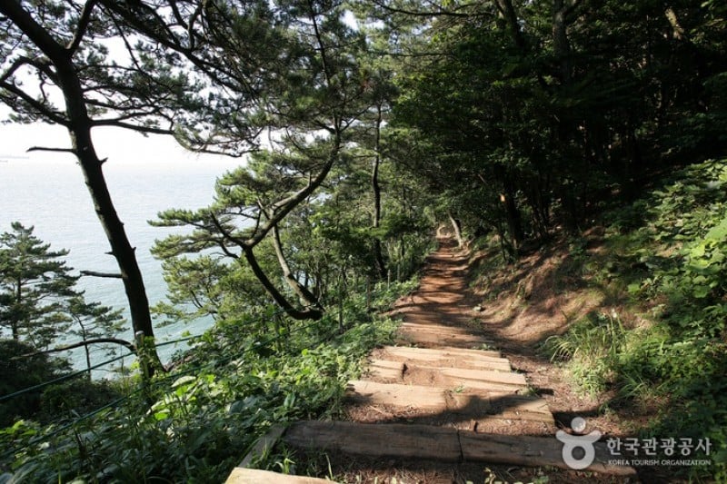 Amnam Park  (1/10)