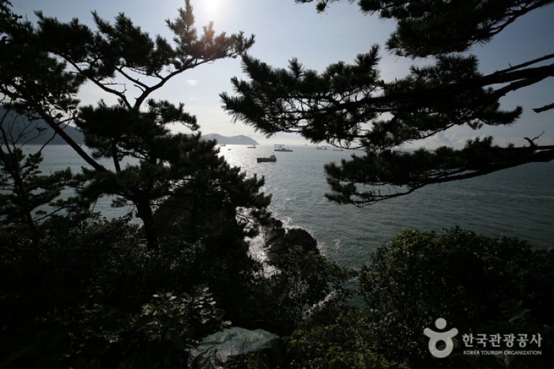 Amnam Park  (6/10)