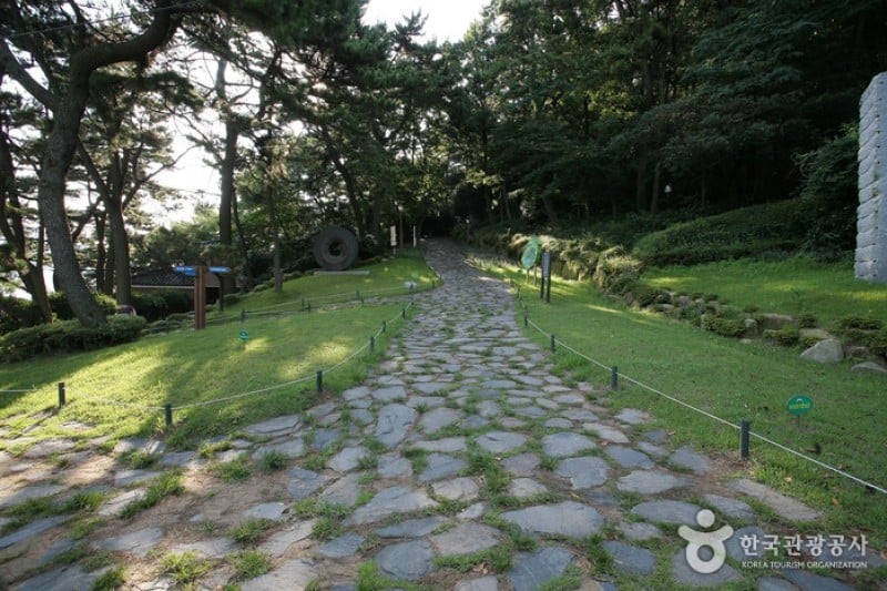 Amnam Park  (10/10)