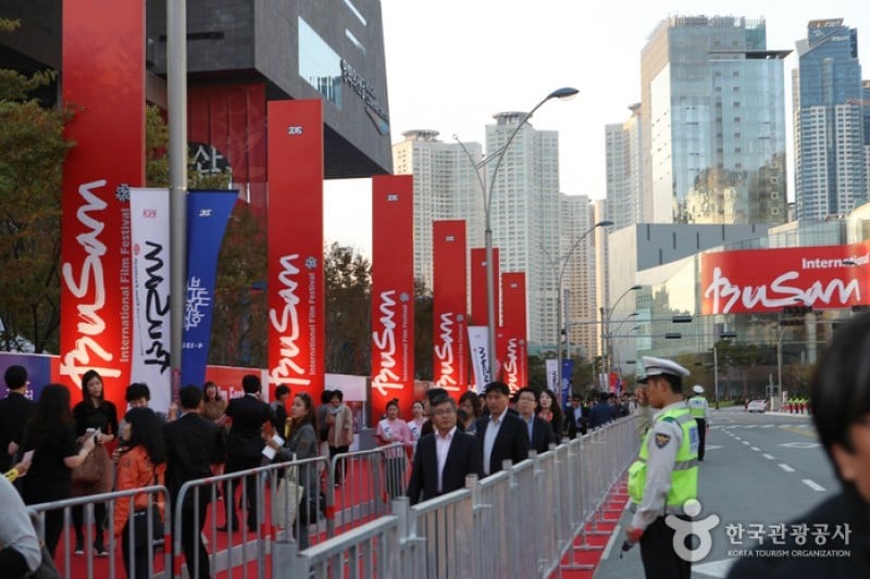 Busan International Film Festival  (11/13)