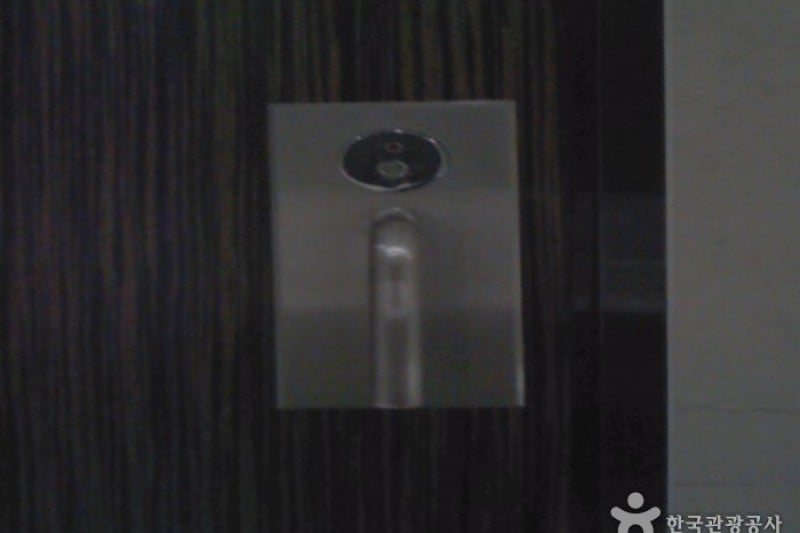 Paradise Hotel Busan  (4/43)